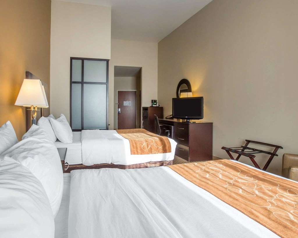 Comfort Suites Mcdonough Atlanta South Rum bild